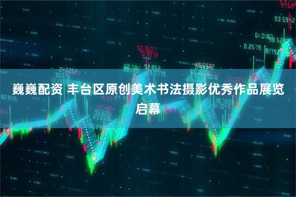 巍巍配资 丰台区原创美术书法摄影优秀作品展览启幕